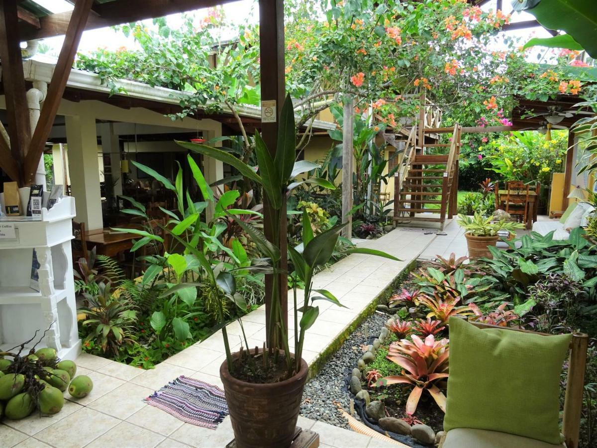 Hotel Pura Vida Puerto Viejo de Talamanca Exterior foto